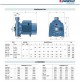 ELETTROPOMPA CENTRIFUGA MONOGIRANTE MONOFASE 0,75 KW MOD. CPm 158 PEDROLLO 