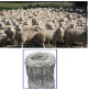 MT. 50 RETE METALLICA EXTRA PESANTE RECINZIONE PECORE PASTORALE ANIMALI H. 120cm