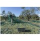 RETE TELO RACCOLTA OLIVE ANTISPINA 85/90 gr/mq TENDA senza spacco OLIO 4x8 mt